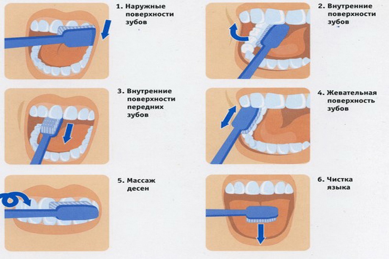 pravila zub